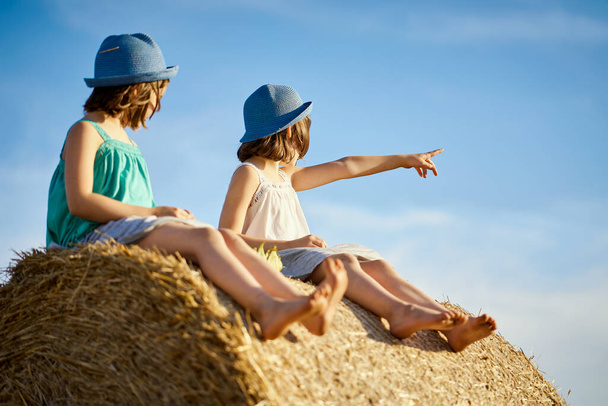 deux charmantes filles sont assises sur un rouleau de seigle fauché dans un champ - Photo, image