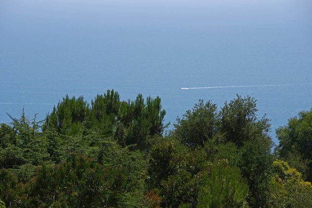 Wysoka panorama Oceanu Spokojnego widziana ze wzgórza Campanile w Santa Barbara w piękny letni dzień - Zdjęcie, obraz