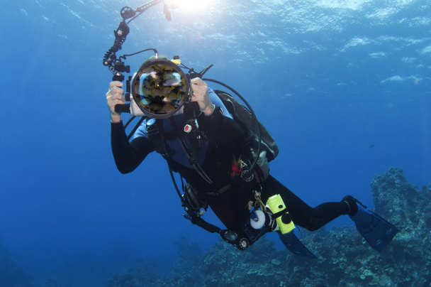 Podwodny fotograf - Zdjęcie, obraz