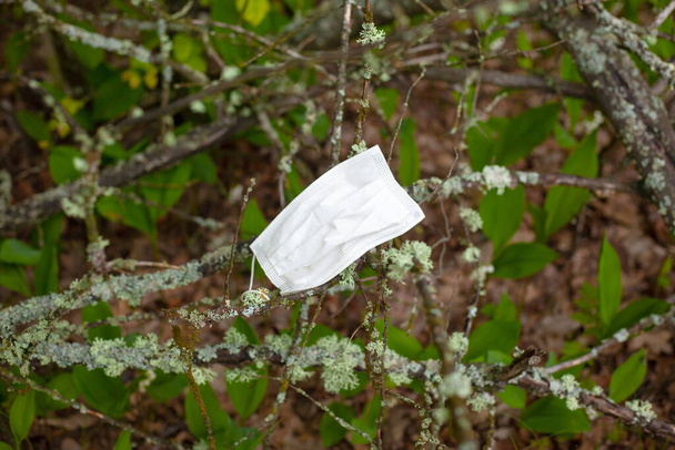 medizinische Maske in einem Zweig stecken, das Ende der Epidemie, Pandemie - Foto, Bild