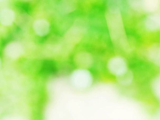 Abstrakti vaaleanvihreä ja keltainen väri bokeh kaunis hämärtynyt luonto tausta - Valokuva, kuva