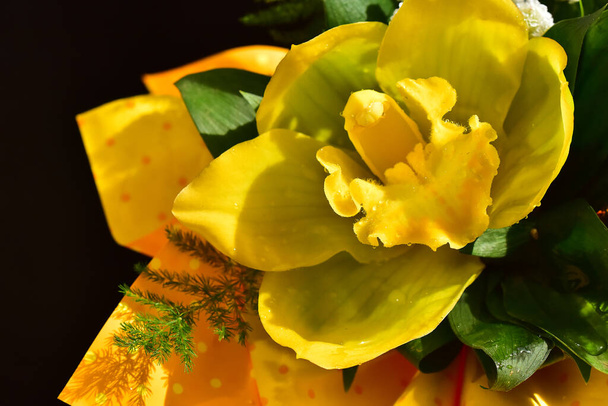 暗い背景に美しい蘭の花夏のコンセプト近景   - 写真・画像