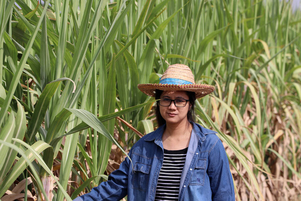 Женщина-фермер, стоящая на ферме с сахарным тростником в соломенной шляпе с джинсовой рубашкой с длинным рукавом. - Фото, изображение