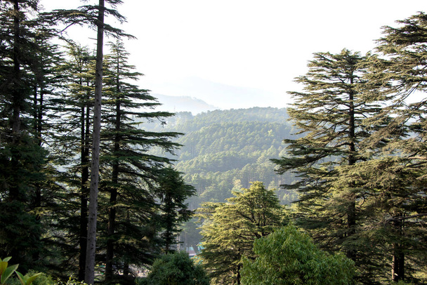 Ένας δημοφιλής ινδικός προορισμός λόφο - Patnitop, jammu - Φωτογραφία, εικόνα