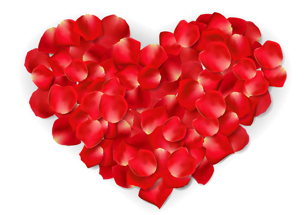 Červené květy růží ve tvaru srdce na bílém pozadí - Vektor, obrázek