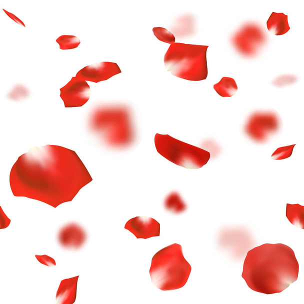 Pétalos de rosa roja cayendo sobre fondo blanco. Patrón sin costuras. Ilustración vectorial - Vector, imagen