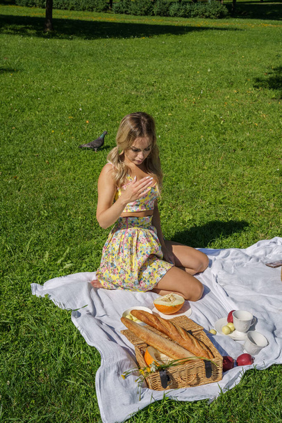 Outdoors portrait of beauty blond woman in summer clothes. Model resting on picnic at green park - Foto, afbeelding