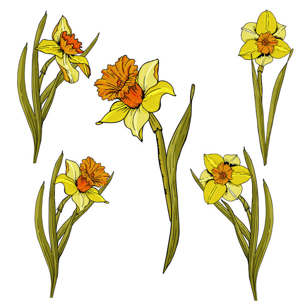 flower seamless pattern. Realistic detailed botanical outline sketch drawing design illustration. Beautiful in garden concept - Вектор, зображення