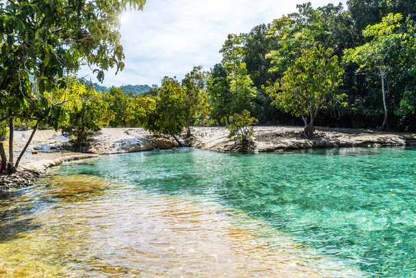 The emerald green water pool is unseen pool, Popular tourist beauty in Krabi area of Phuket in Thailand. - Zdjęcie, obraz