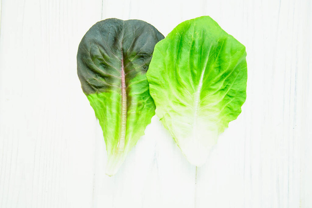 Fresh lettuce leaves on light background - Photo, Image