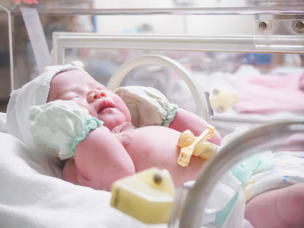 новонароджений дитячий сон в інкубаторі в лікарні
 - Фото, зображення
