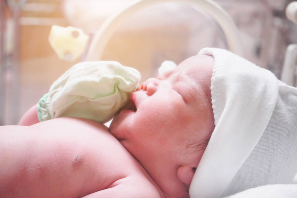Vastasyntynyt vauva tyttö sisällä hautomo sairaalan postitushuoneessa - Valokuva, kuva