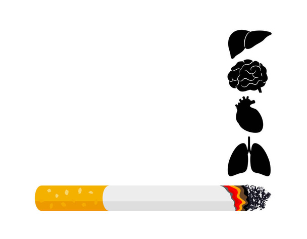 Smoking is harmful to human organs. Resulting in organ damage and premature. Illustration. - Vector, Image