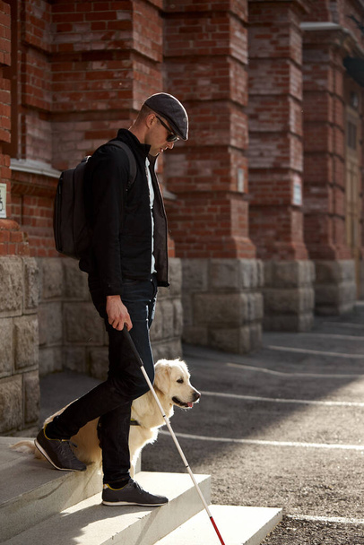 guide dog helps the owner to move freely in big city - Fotografie, Obrázek