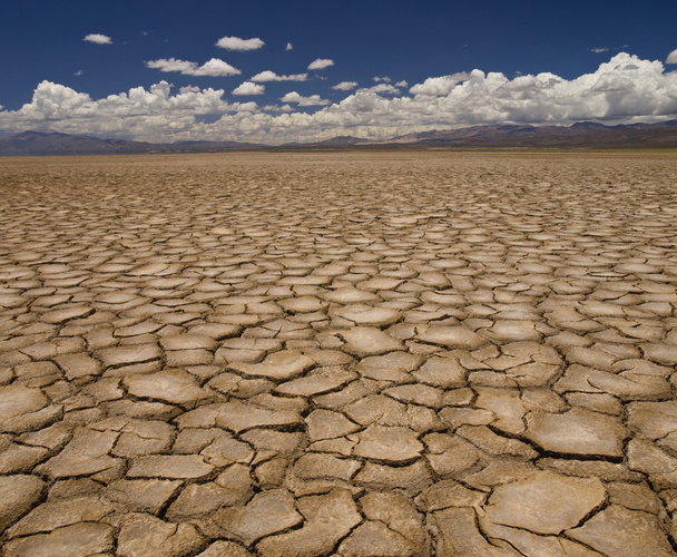 Drought - Photo, Image