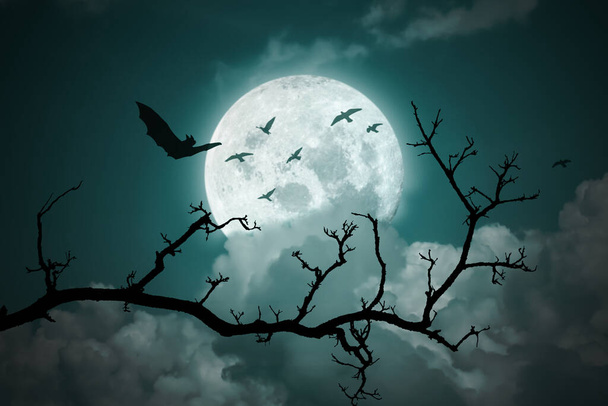 Cadılar Bayramı geçmişi. Gece gökyüzünde dolunay. - Fotoğraf, Görsel