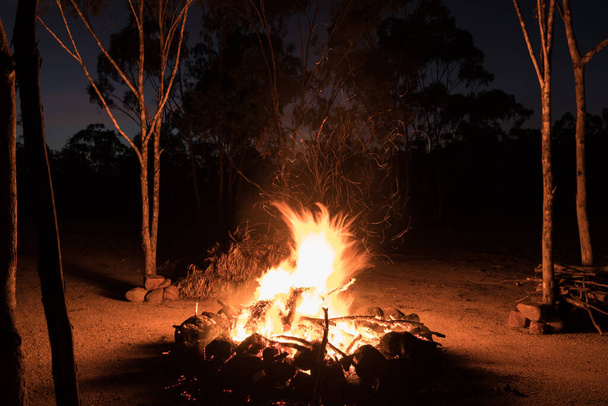 Camp fire burning in Australian outback with gum trees (eucalyptus trees) around - Photo, Image