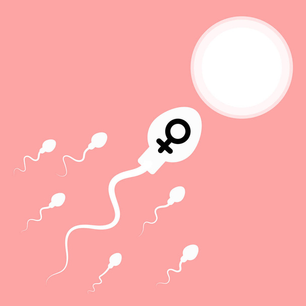 Sperma und Eizelle. Vektorillustration - Vektor, Bild