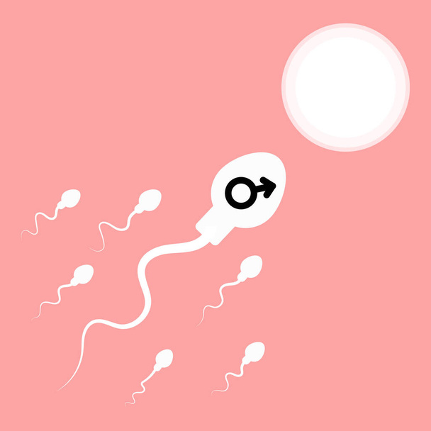sperme et ovule. illustration vectorielle - Vecteur, image