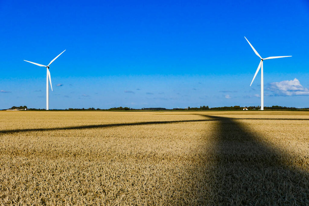 小麦の分野でデンマークの風力タービンと他の風力タービンの大規模な影. - 写真・画像