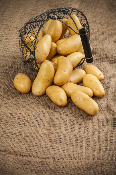 Panier de pommes de terre sur sac de chanvre
 - Photo, image