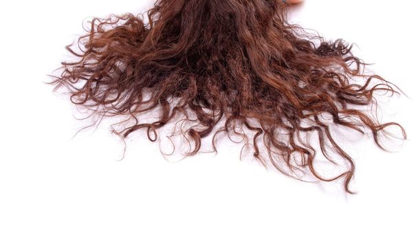 samice kudrnaté vlasy izolované na bílém pozadí - Fotografie, Obrázek