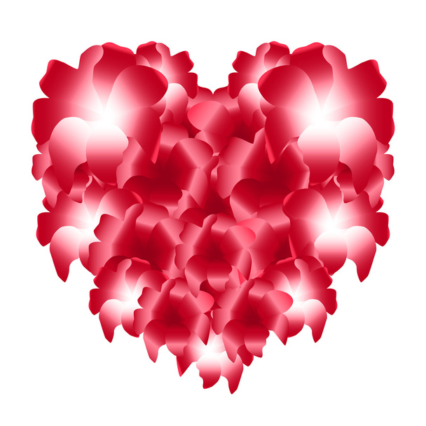 Růže červené srdce květin izolovaných na bílém pozadí - Vektor, obrázek