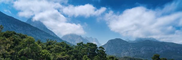 Beautiful mountain landscape, pine forest on hills with blue sky and clouds, panorama banner format. - 写真・画像