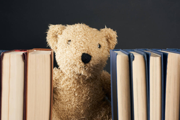 teddy bear peeking out from behind a stack of books, black background, back to school, close up - 写真・画像