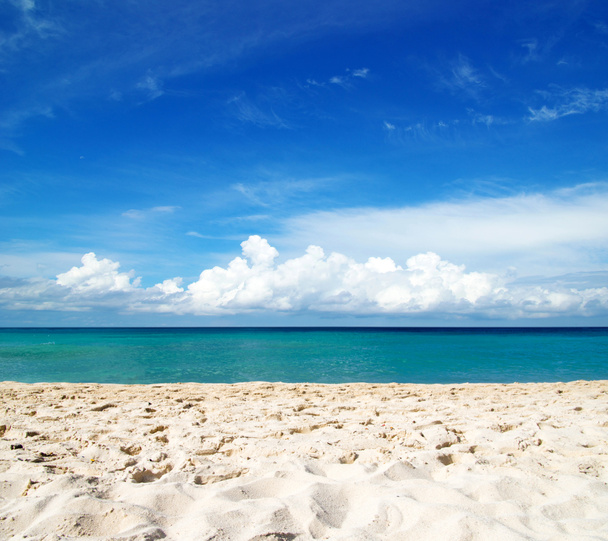 Пляж і тропічне море
 - Фото, зображення
