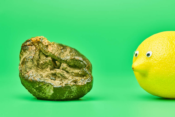 Two lemons with eyes. Rotten lemon and fresh lemon compare. Funny psychological comparison concept, green background. Unsuitable inedible food for cooking and new tasty lemon. - Photo, Image