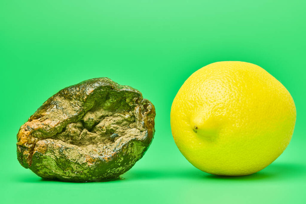 Zgniłe cytryny i świeże cytryny porównać, zielone tło. Zgniłe owoce. Nieodpowiednia żywność niejadalna do gotowania i nowe porównanie owoców. - Zdjęcie, obraz