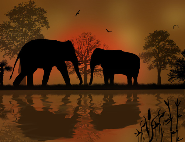 Силуэт слонов в Африке
 - Вектор,изображение
