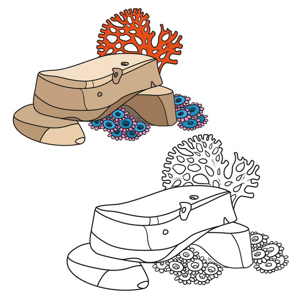 Coral and anemones growing on rocks coloring book linear drawing isolated on white background - Διάνυσμα, εικόνα