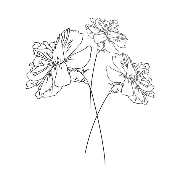 Набор из трех гвоздичных цветов, растительного ботанического искусства, набросок векторной иллюстрации для дизайна и творчества - Вектор,изображение