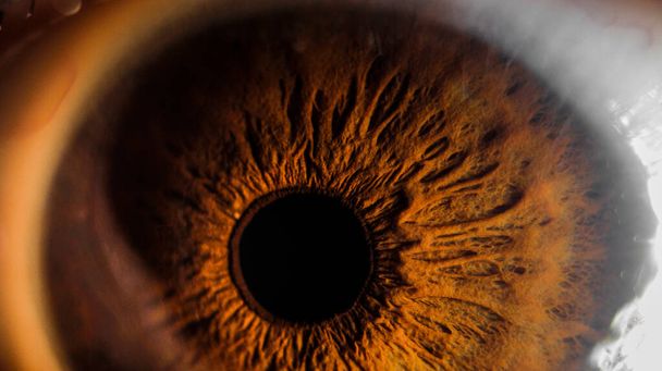 super macro oog en iris - Foto, afbeelding
