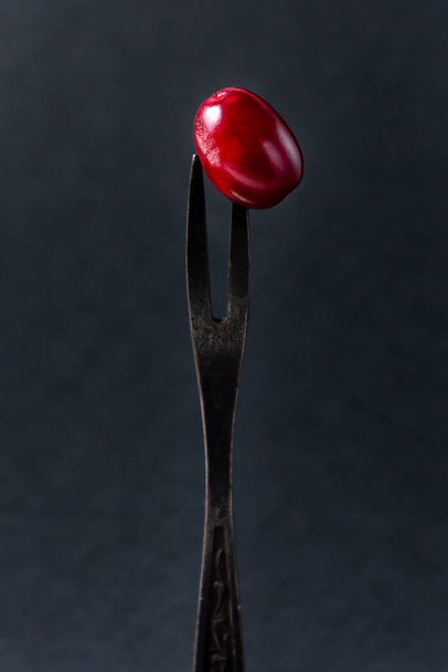 Dogwood sobre un fondo negro. Un cornejo rojo y maduro en un tenedor de plata. Recoger la cosecha de verano. - Foto, imagen