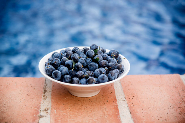 espino negro o frutas azuladas en un tazón - Foto, Imagen