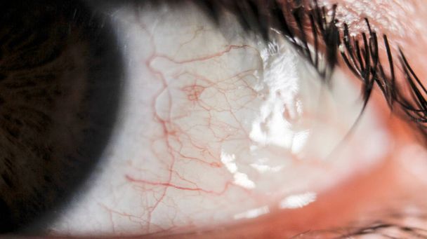 super macro veines oculaires - Photo, image