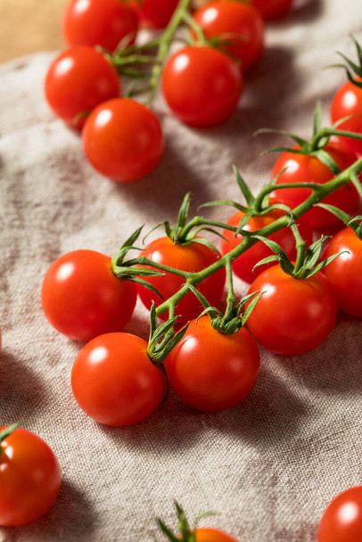 Raw Red Organic Cherry Tomatoes on the Vine - Valokuva, kuva