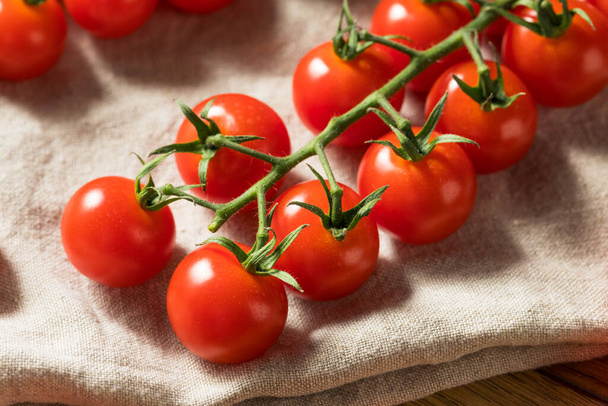 Красные органические помидоры вишни на виноградной лозе - Фото, изображение