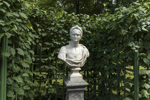 Άγαλμα του Θερινού Κήπου "Ρωμαίος αυτοκράτορας Νέρων". Ελήφθη. Παλιό δημόσιο πάρκο "Summer Garden" στην Αγία Πετρούπολη, Ρωσία - Φωτογραφία, εικόνα