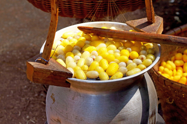 fabrication du ver à soie cocon
 - Photo, image