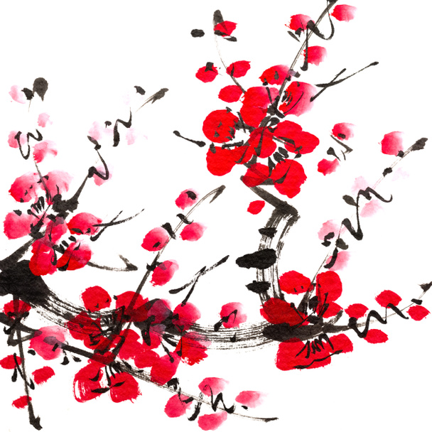 plum blossom - Photo, Image