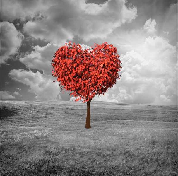 arbre en forme de coeur
 - Photo, image
