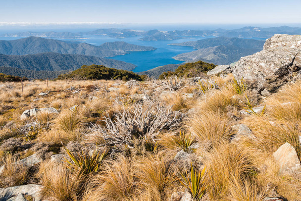 Blick auf die Marlborough Sounds vom Gipfel des Mount Stokes, Südinsel, Neuseeland - Foto, Bild