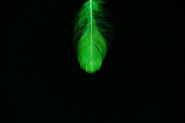 A green feather isolated on a black background - perfect for wallpaper - Foto, Imagen