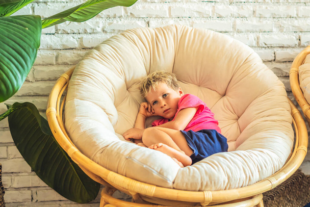 Single blond pouting offended upset boy in pink tshirt tucked his knees sitting in a round fashionable chair in the living room in a house indoor. Family relationship, childhood problems and behaviour - Foto, Imagem