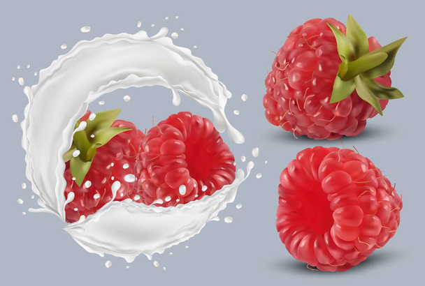 3D realistické maliny v mléčné šplouchnutí. Čerstvé červené maliny na průhledném pozadí. Mléčný koktejl. Organická berry.Vektorová ilustrace - Vektor, obrázek