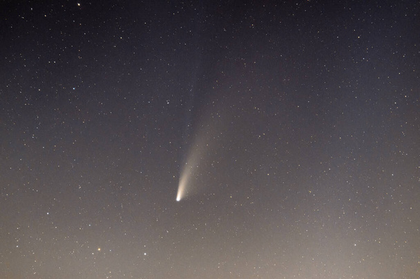 夕暮れ後の彗星とその長い塵の尾 - 写真・画像